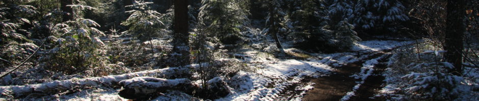 Bekhuis Advies Projectleiding buitenruimte